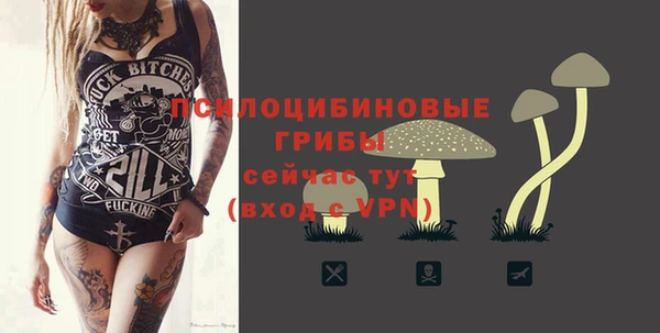 дживик Нефтегорск