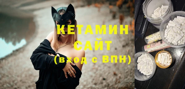 гидра Ессентукская